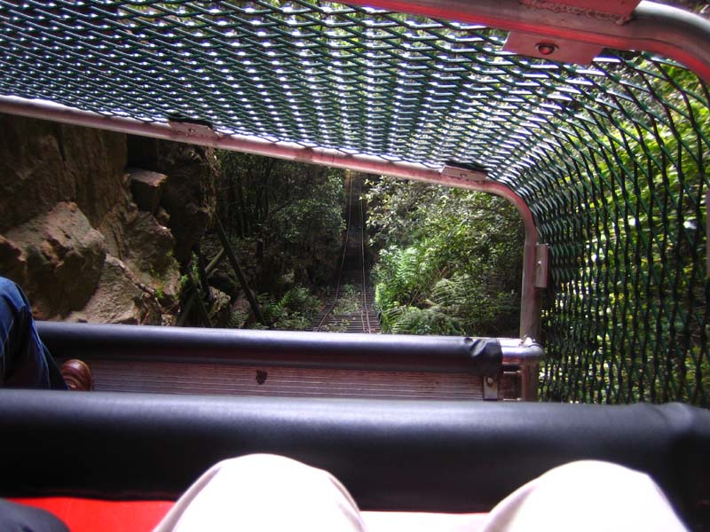 Scenic Railway
